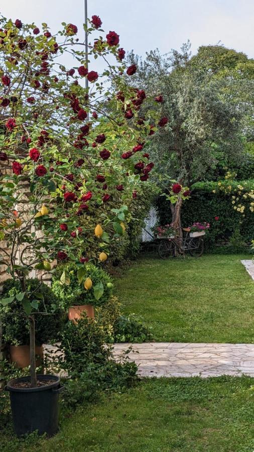 Bed & Breakfast Agli Aceri Βερόνα Εξωτερικό φωτογραφία
