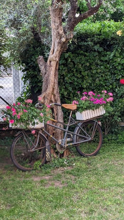 Bed & Breakfast Agli Aceri Βερόνα Εξωτερικό φωτογραφία